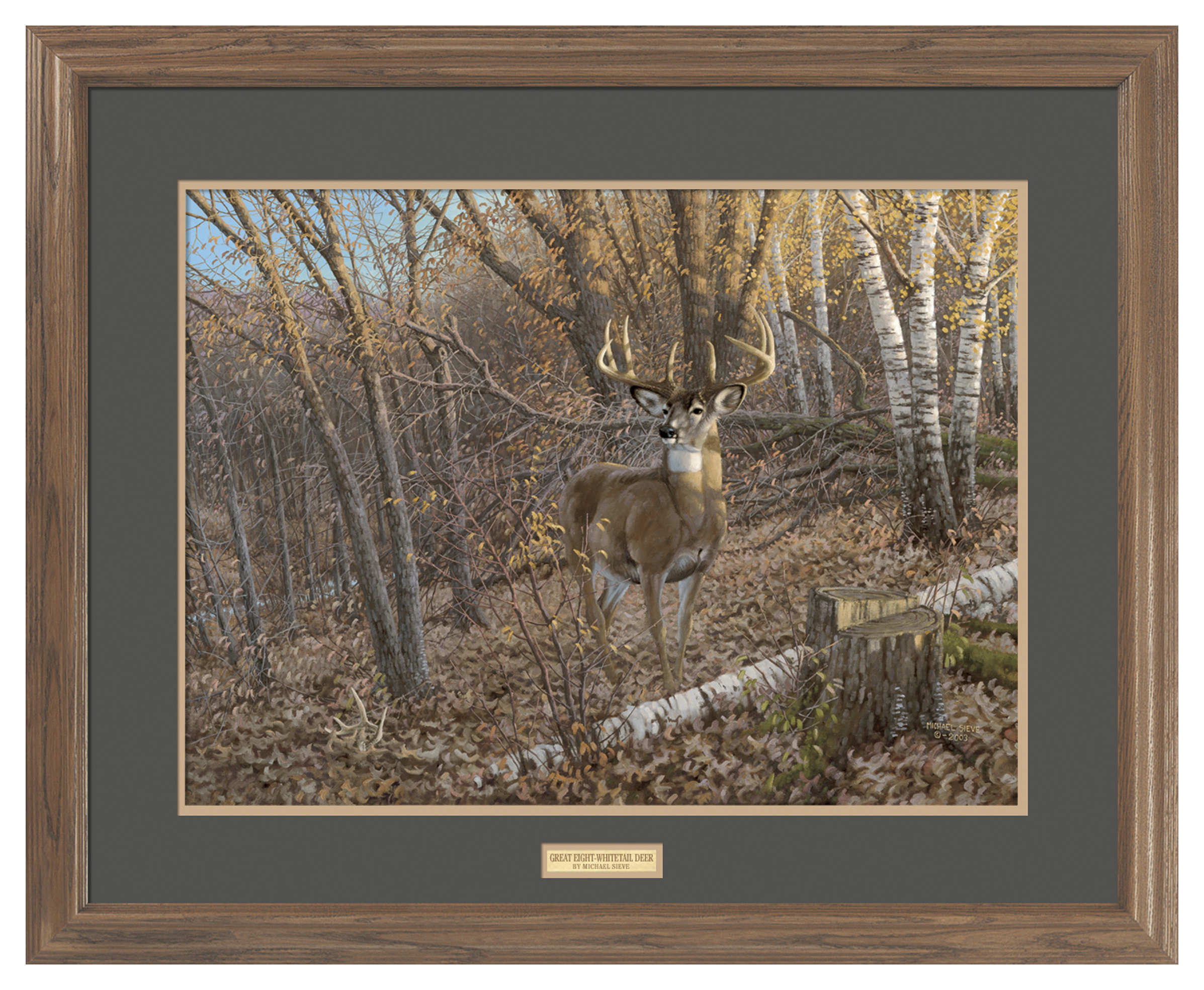 Wild Wings Great Eight Whitetail Deer Framed Art Print by Michael Sieve ...